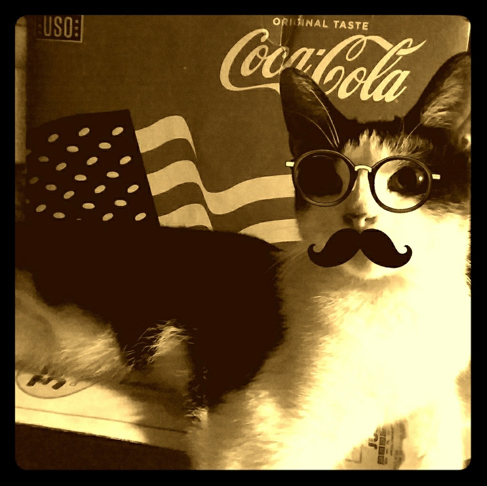 Meet your Posher, Jenn :-)